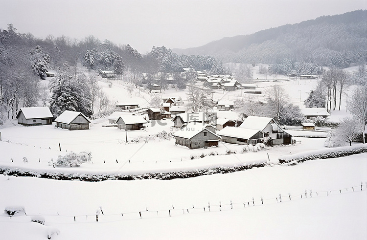 20102011年冬天下雪最多的村庄