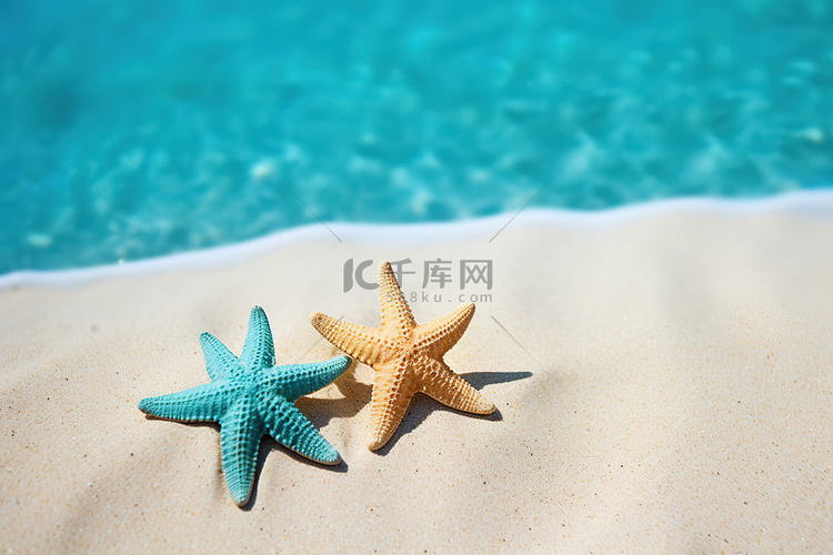 两只海星坐在游泳池附近的沙子上