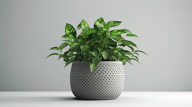高清盆栽图像中植物的绿色 3D
