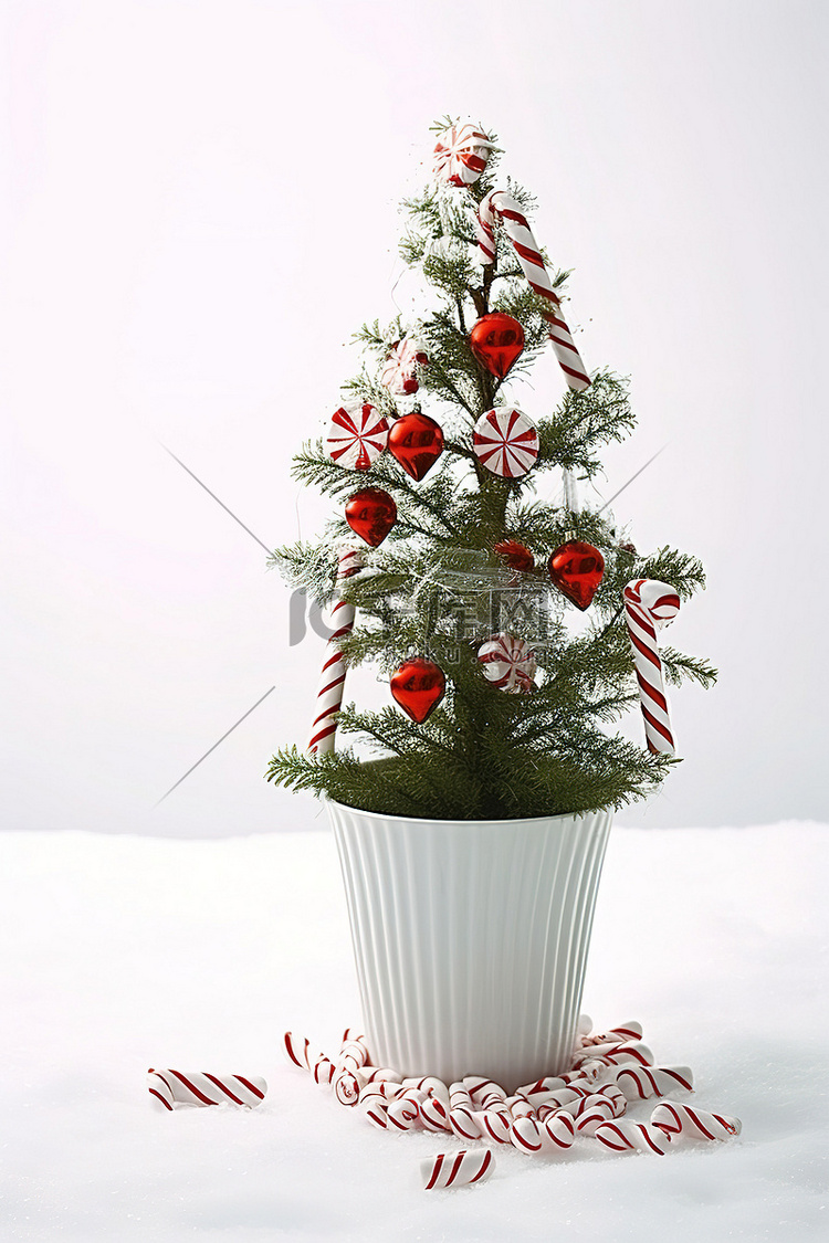 白色花瓶里的圣诞树，上面有拐杖