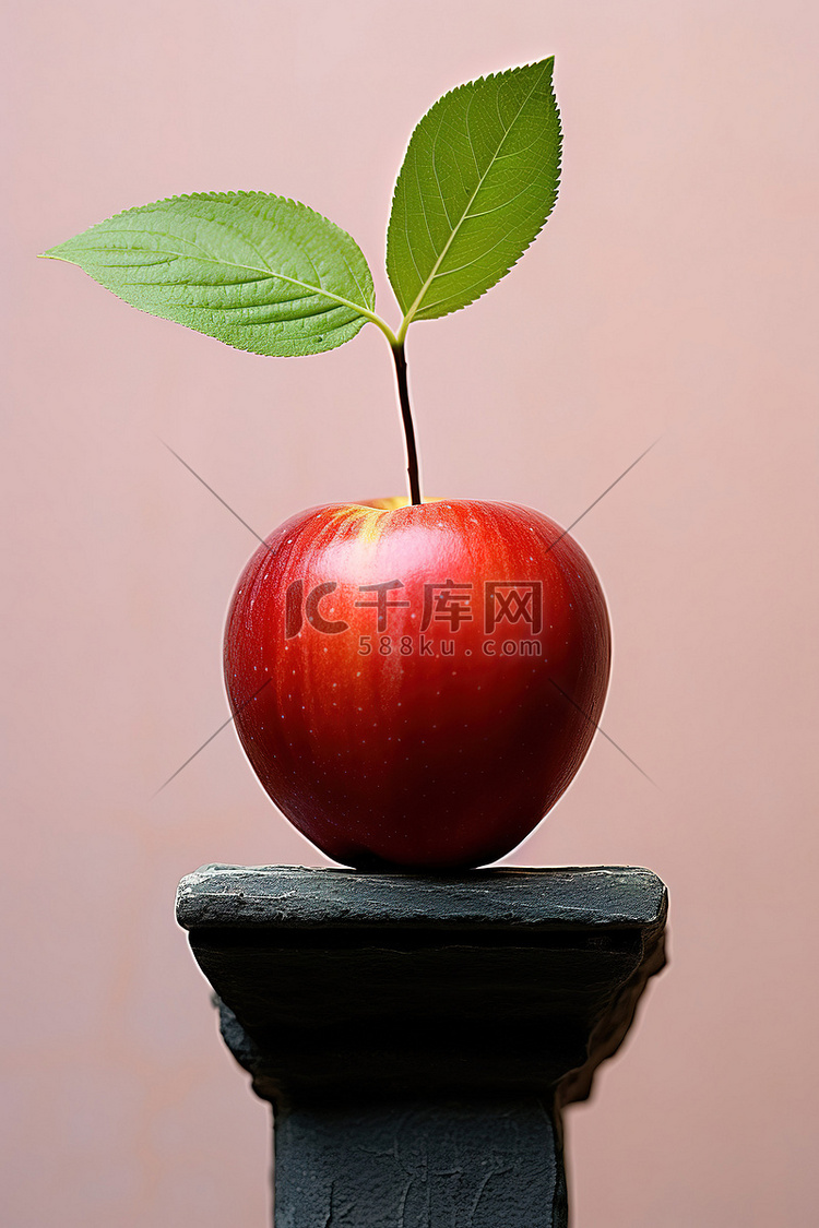 一个红苹果，一片叶子种植在瓷墙