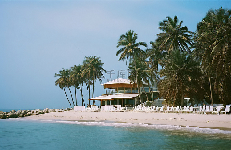 拥有棕榈树俯瞰大海的海滩俱乐部
