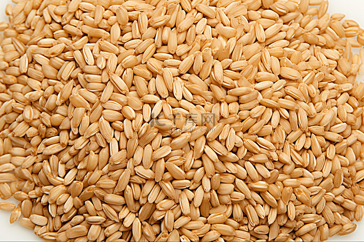 谷物 亚马逊 com 食用品 糙米