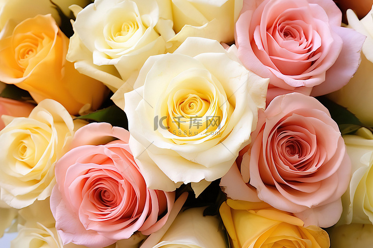 各种不同颜色的玫瑰排列在花束中