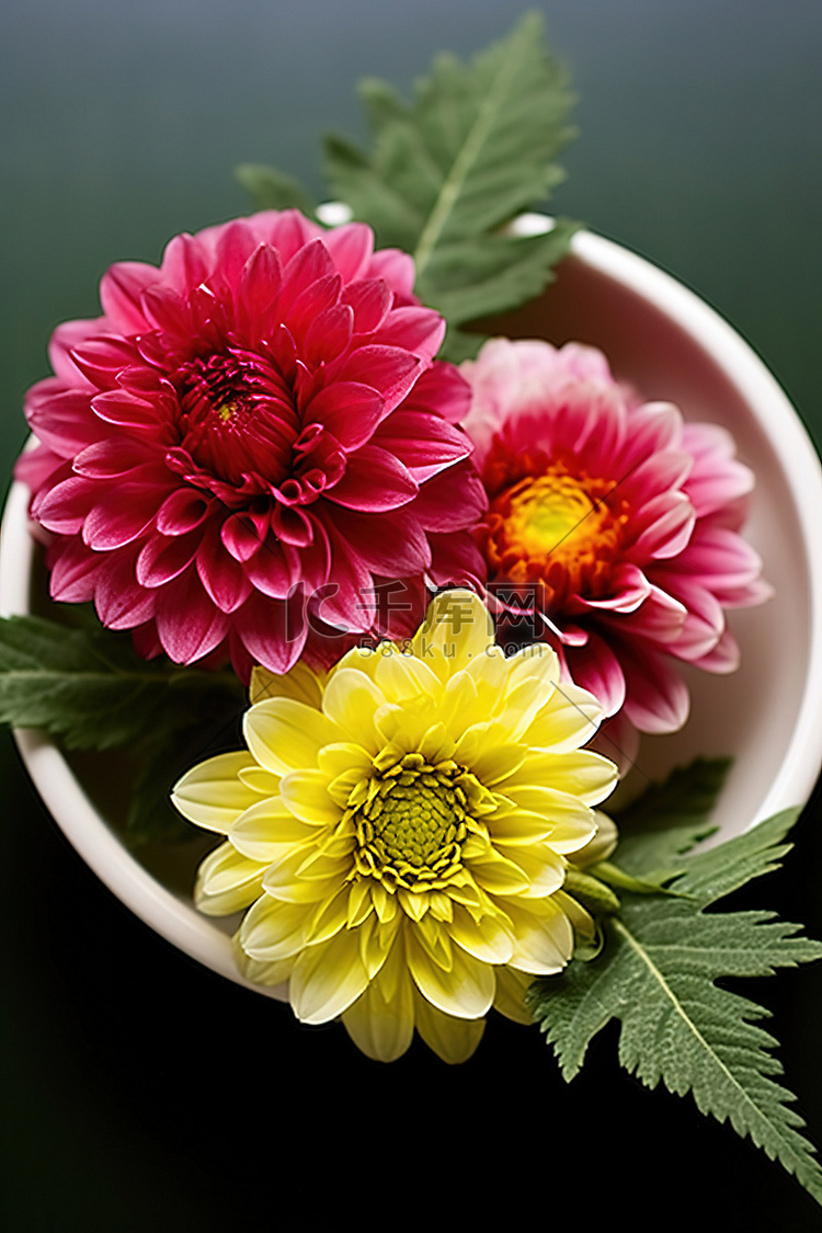 碗里有两朵鲜艳的花