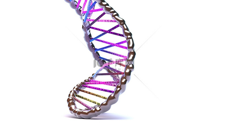 白色背景上孤立的 DNA 螺旋