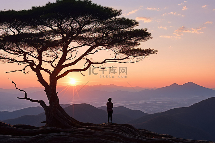 日落时站在一棵树旁的女人