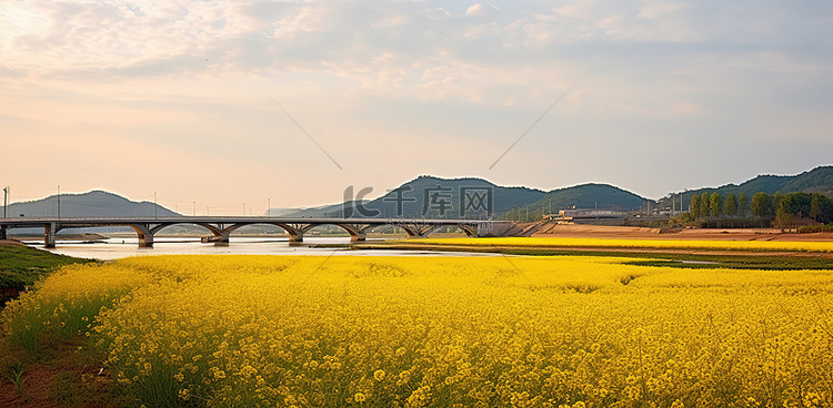 朝鲜边境的田野上，远处有一座桥