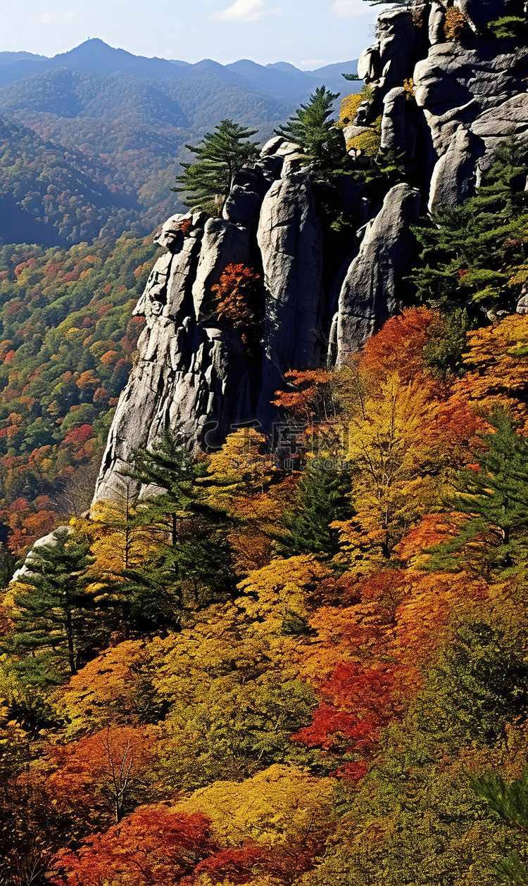 前景中有色彩缤纷的树叶的山脉