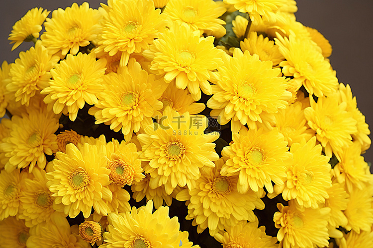 黄色花朵的菊花花束