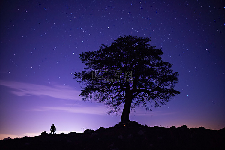 一个人在天空中有一棵树和星星
