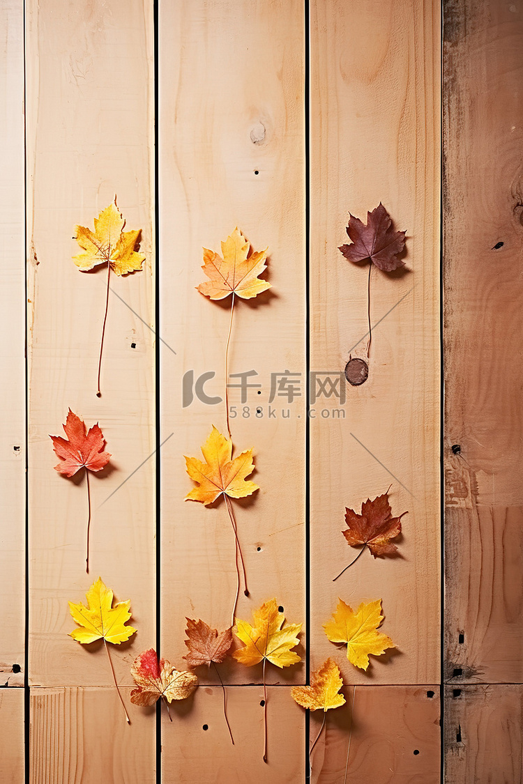 秋天的树叶在木制的背景上