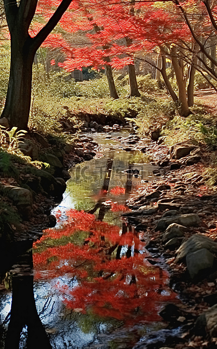 溪水倒映着红叶