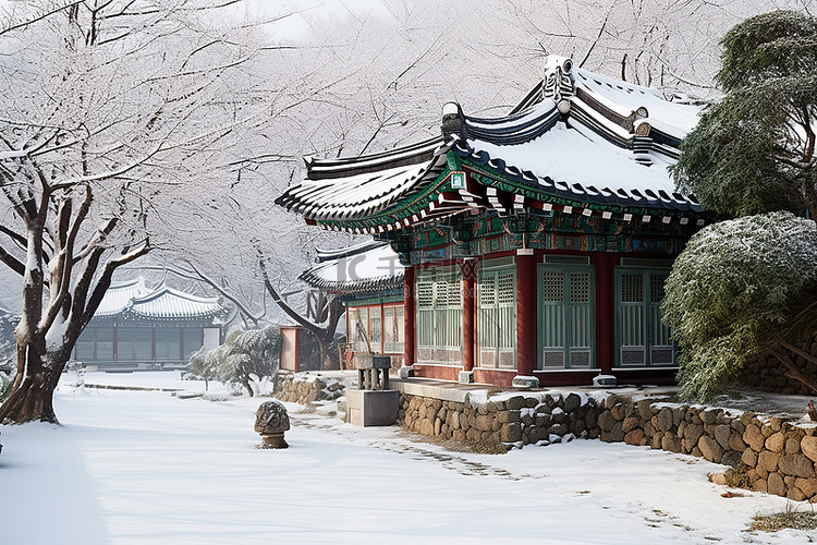 节日期间，冰雪覆盖了韩国的一个