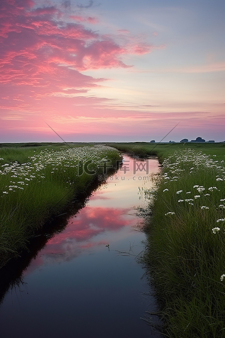 一条有沼泽地和粉红色花朵的河流