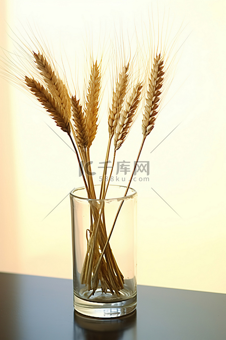 桌子上玻璃花瓶里的三穗麦子