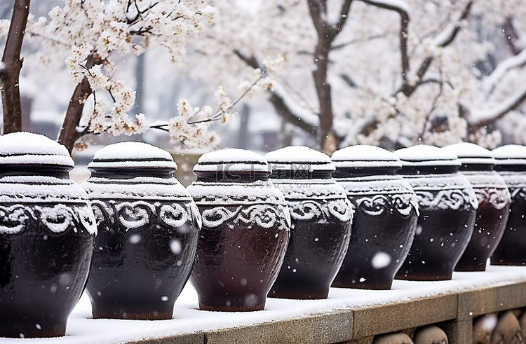 许多骨灰盒矗立在雪地里