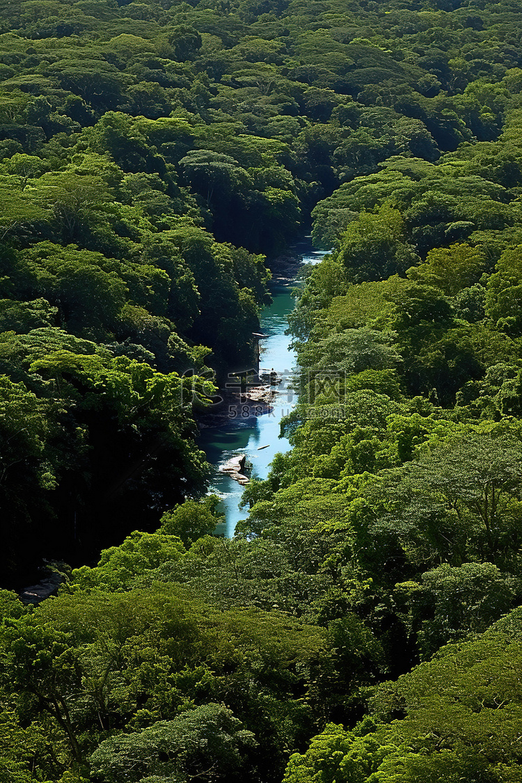 河流穿过山顶的森林