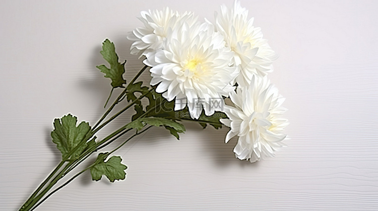 白丝菊花 25 厘米