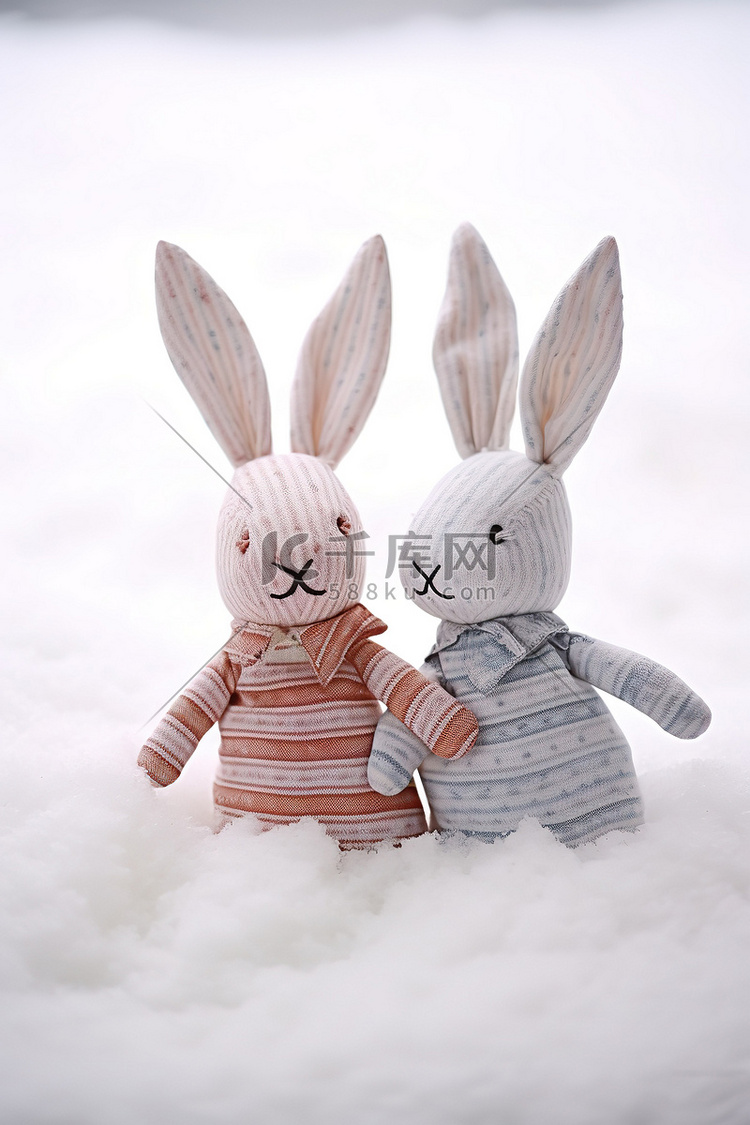 两只兔子坐在雪中