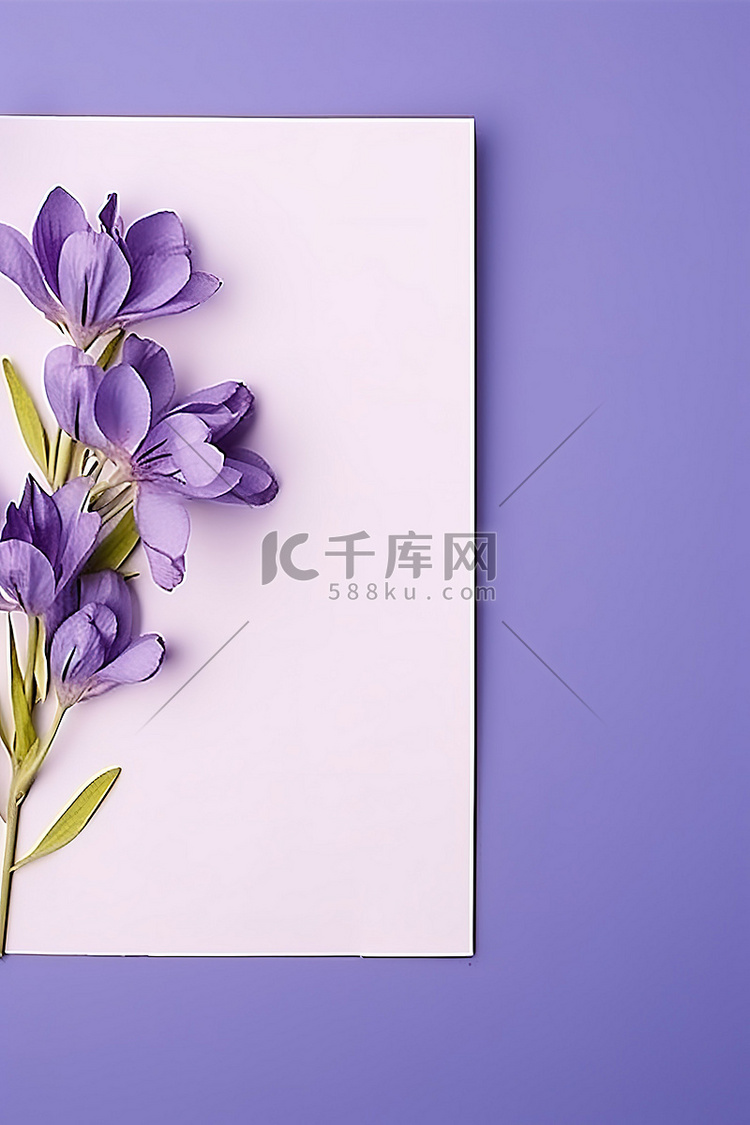 一张蓝色纸前的紫色花朵