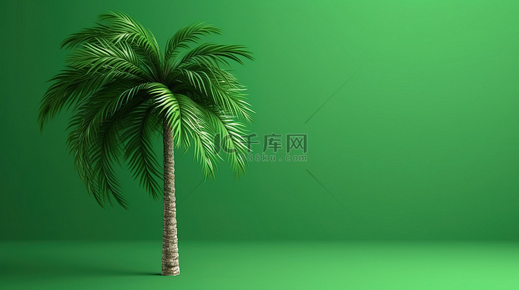 3d 渲染的绿色棕榈树高耸在匹