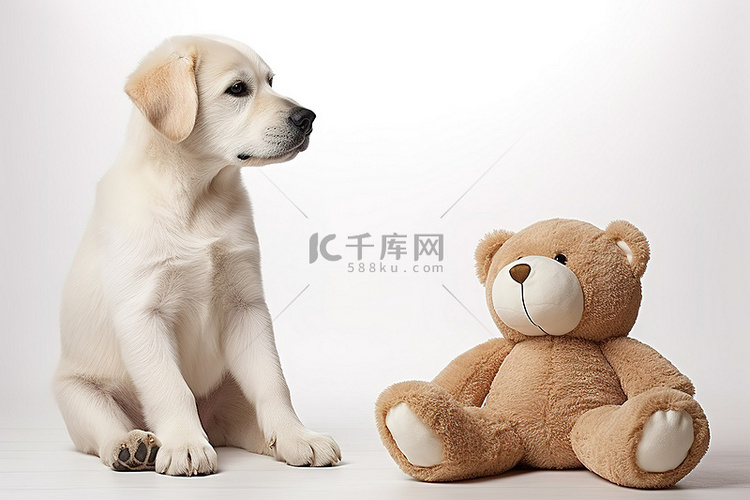 狗和泰迪熊