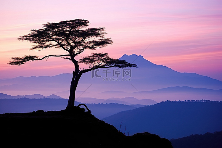 一棵树坐在山顶上，背景是群山