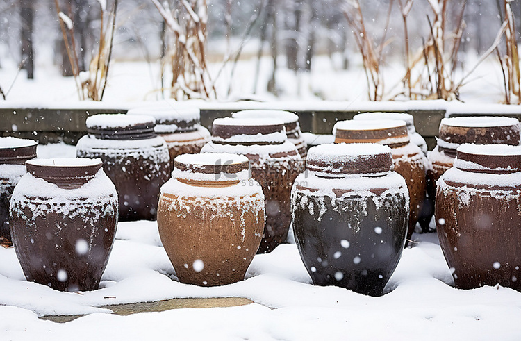 雪地里有许多棕色的罐子