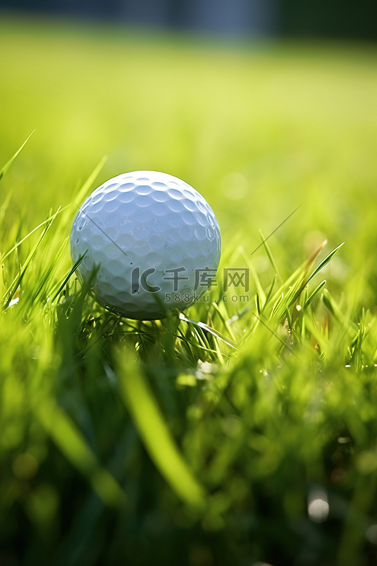 一个高尔夫球坐在草地上的发球台