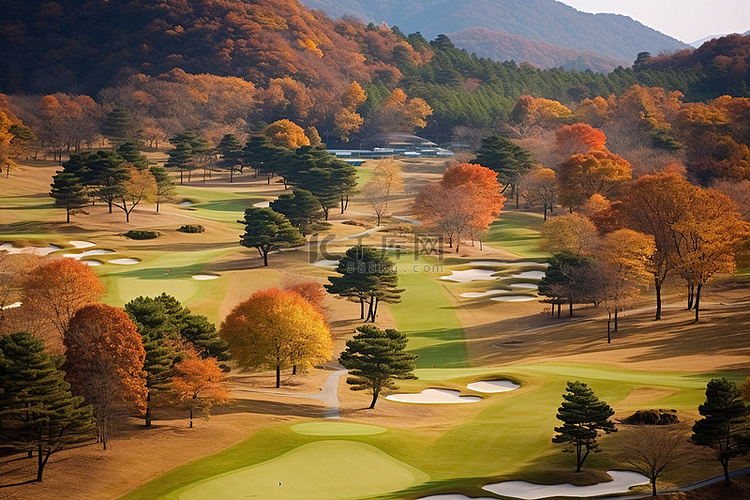 秋天的高尔夫球场，背景是树木
