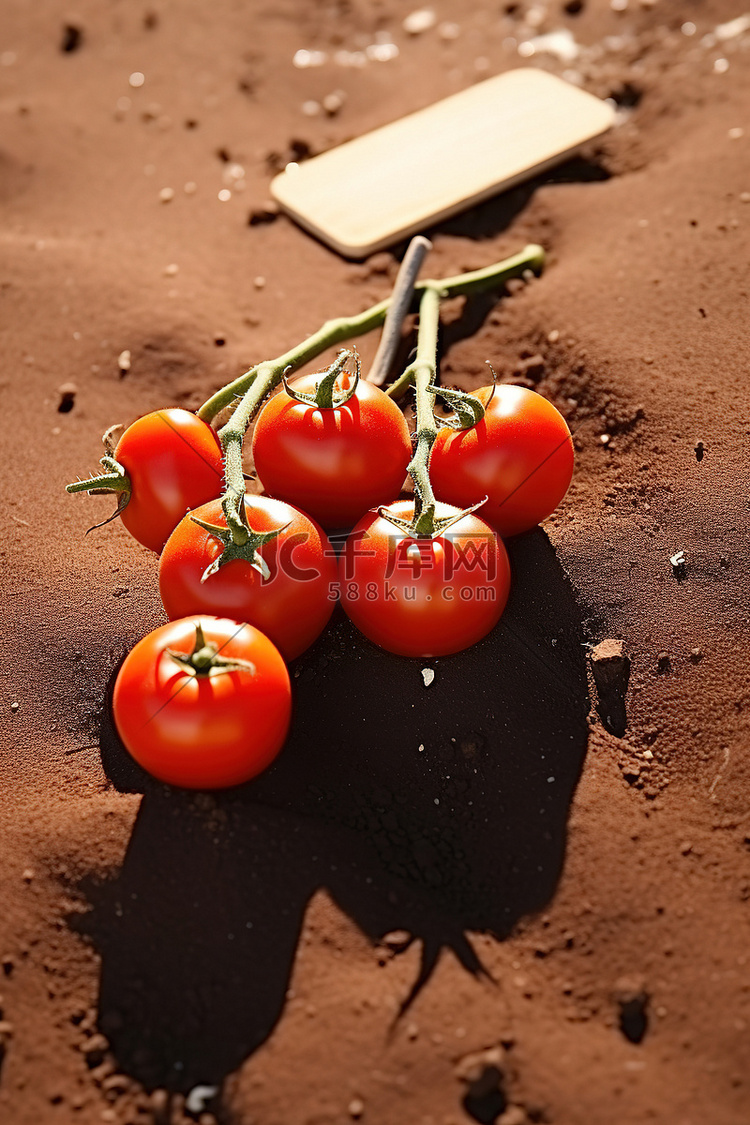 泥土里的西红柿