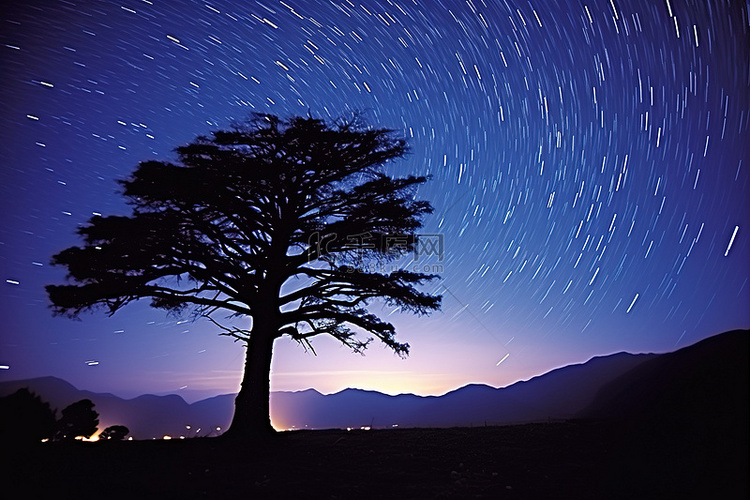 夜间山地景观中的树木剪影
