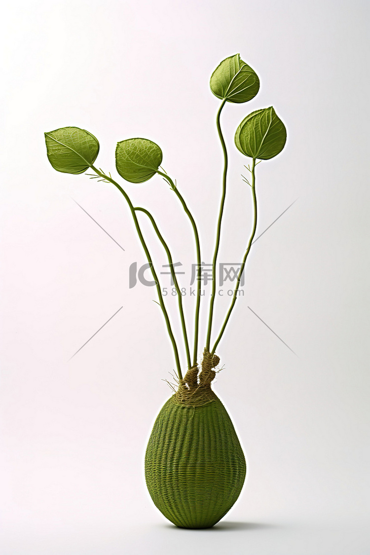 一瓶绿叶，头状花序悬在外面