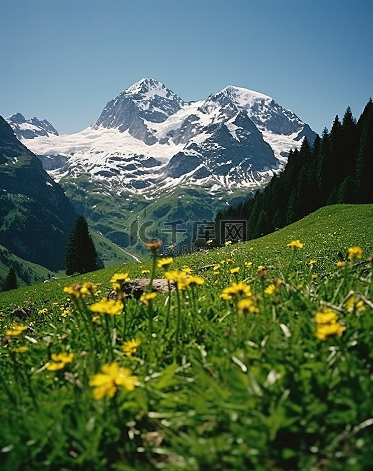 背景是阿尔卑斯山和瑞士白雪覆盖