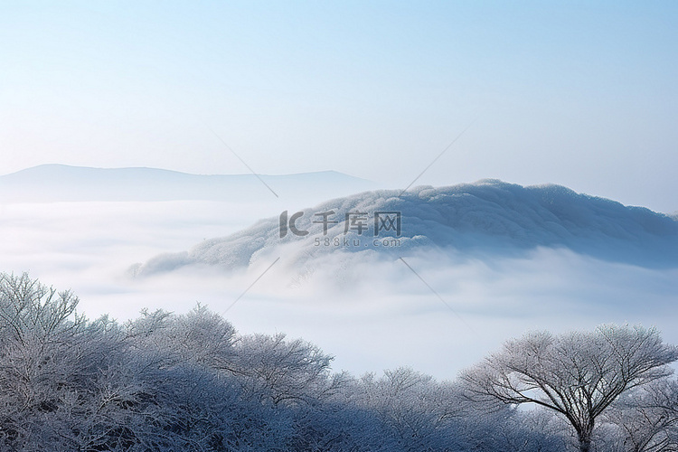 山上的冬季景观，雾下树木覆盖