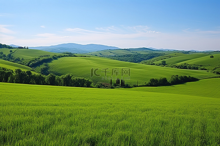 意大利托斯卡纳的一片绿色田野，