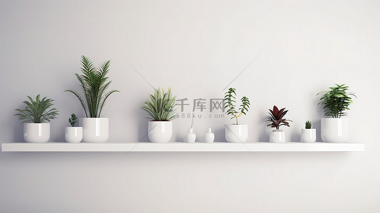 展示 3D 渲染盆栽植物的白色