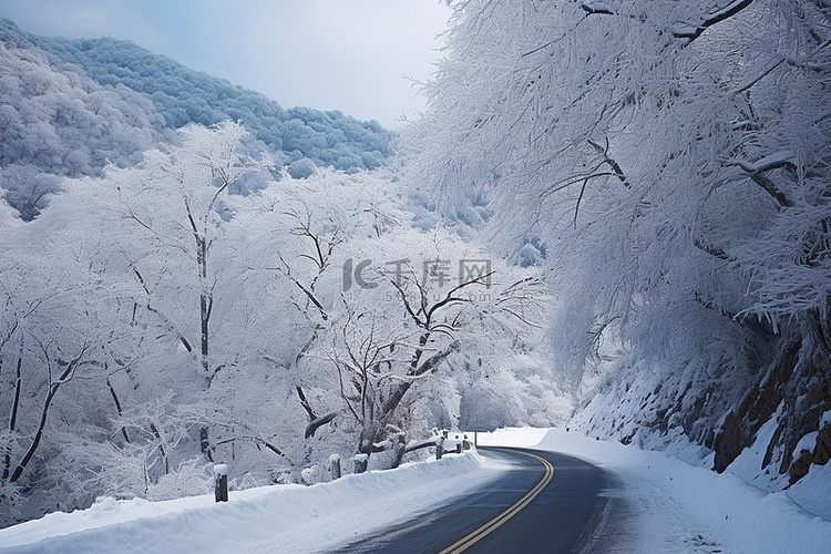 雪路被包围