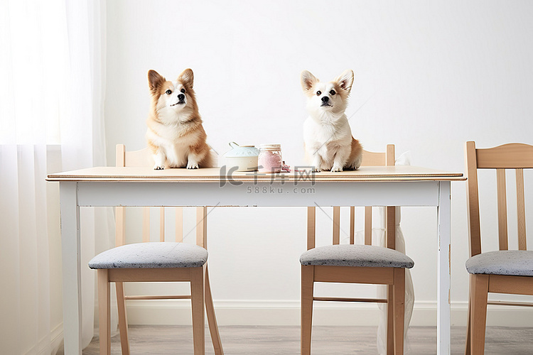 两只狗坐在一张大桌子上，附近有