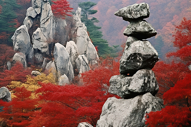 韩国景福宫寺的秋天