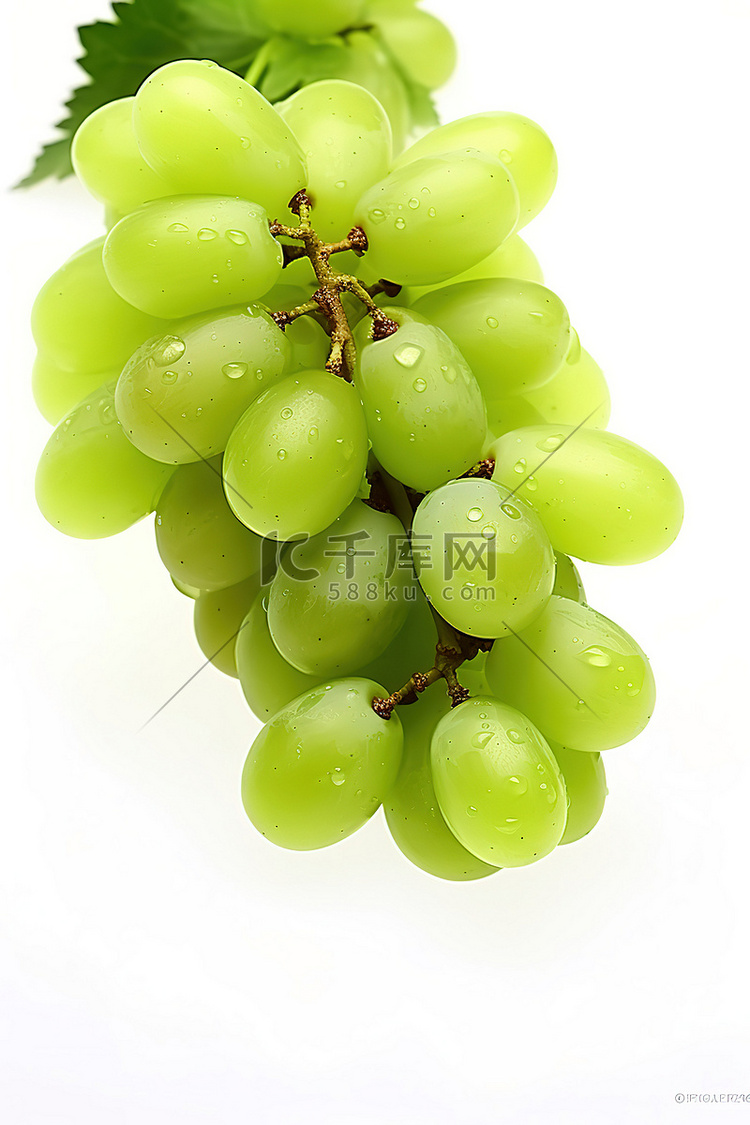 白色背景下的一串绿葡萄