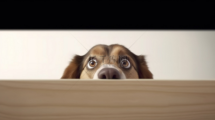 好奇的犬在桌子下进行间谍活动的