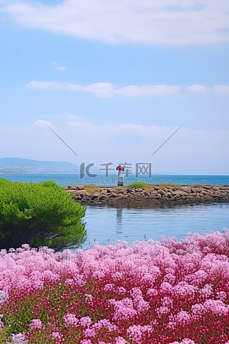 海边有粉红色花朵的小池塘