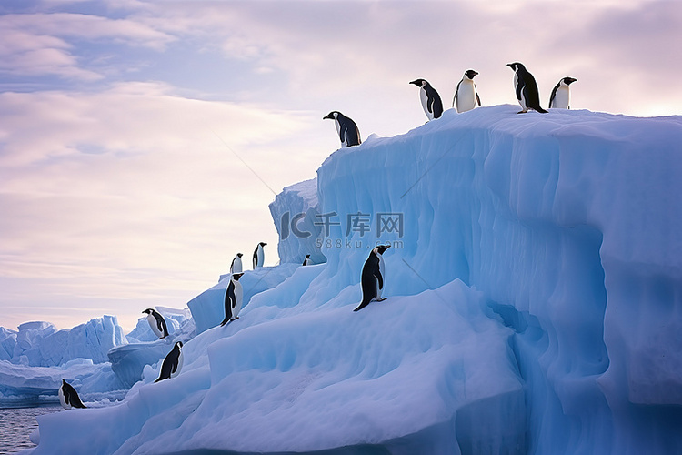 企鹅站在一座大冰山的顶部