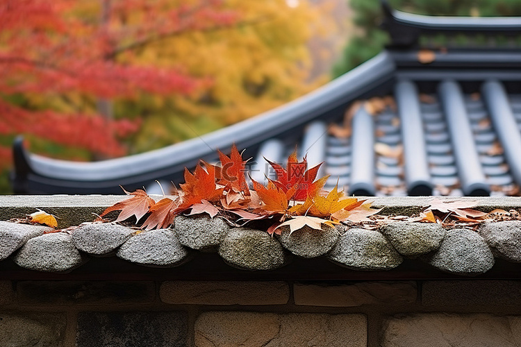 秋叶躺在石屋顶上