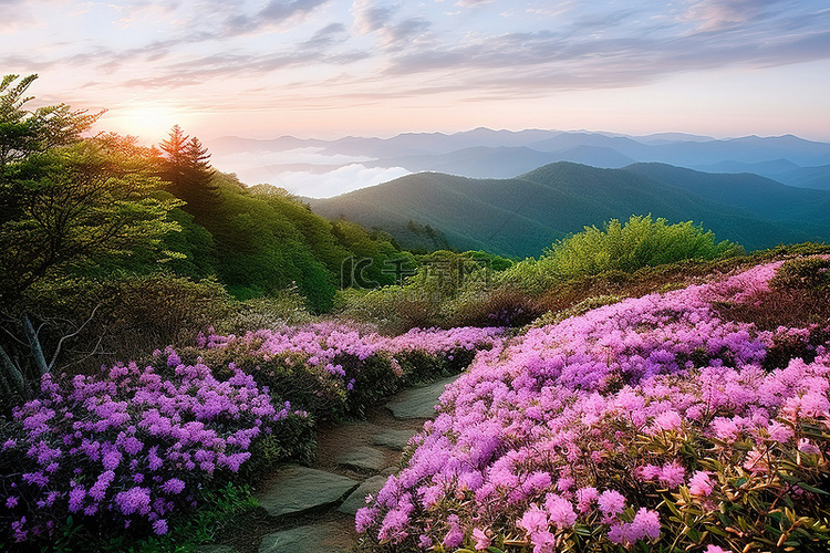 浪漫的风景