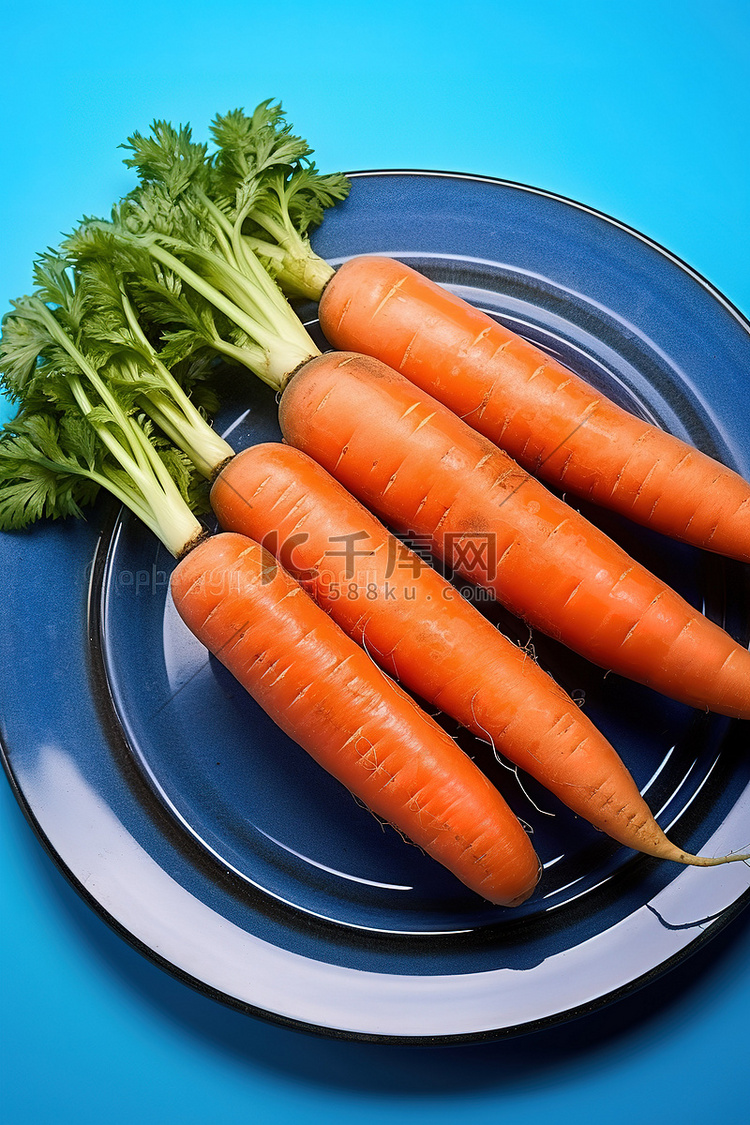 蓝盘上的五根胡萝卜，配生菜西红
