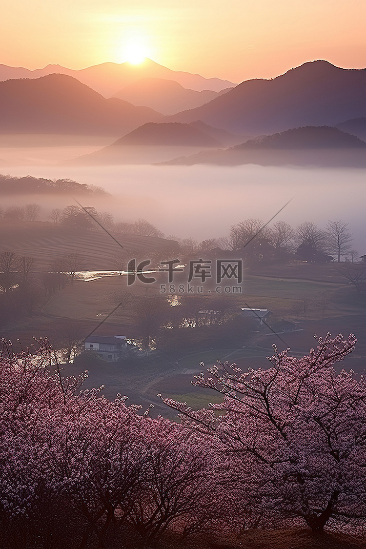 韩国天安国民岛的日出与盛开的樱
