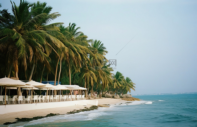 拥有棕榈树俯瞰大海的海滩俱乐部